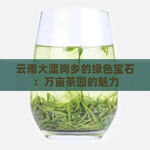 云南大渡岗乡的绿色宝石：万亩茶园的魅力