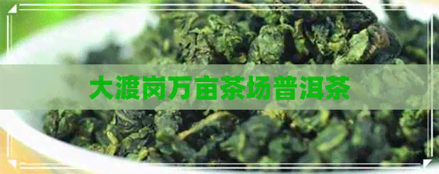 大渡岗万亩茶场普洱茶