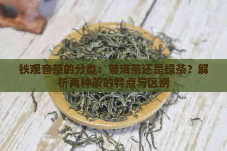 铁观音茶的分类：普洱茶还是绿茶？解析两种茶的特点与区别