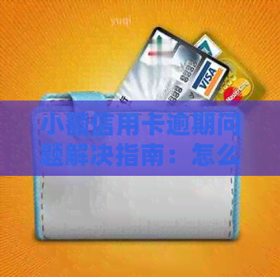 小额信用卡逾期问题解决指南：怎么办，怎么处理？