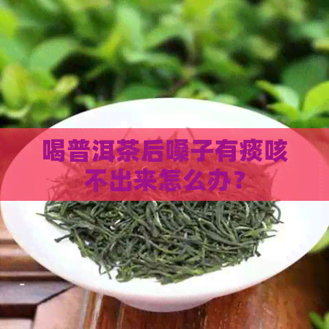 喝普洱茶后嗓子有痰咳不出来怎么办？