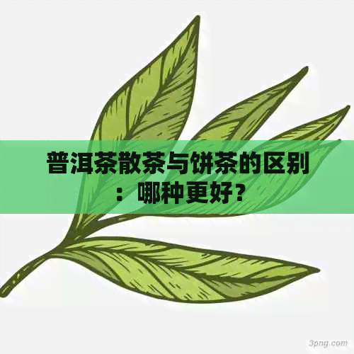 普洱茶散茶与饼茶的区别：哪种更好？