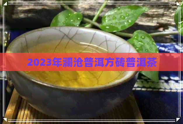 2023年澜沧普洱方砖普洱茶