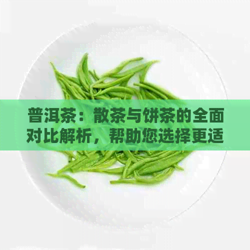 普洱茶：散茶与饼茶的全面对比解析，帮助您选择更适合的茶类