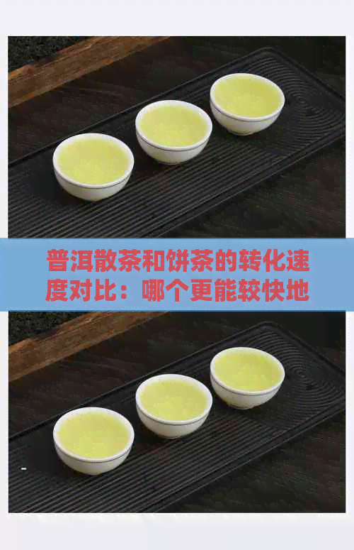 普洱散茶和饼茶的转化速度对比：哪个更能较快地释放出茶叶的味道？