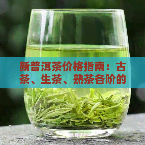 新普洱茶价格指南：古茶、生茶、熟茶各阶的价格分析与比较