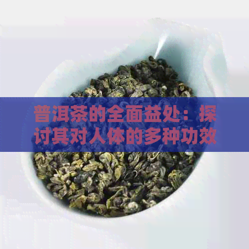 普洱茶的全面益处：探讨其对人体的多种功效和作用