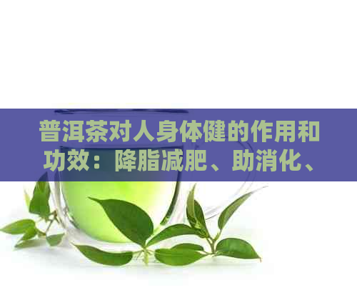 普洱茶对人身体健的作用和功效：降脂减肥、助消化、抗衰老等。