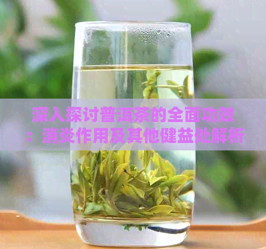 深入探讨普洱茶的全面功效：消炎作用及其他健益处解析