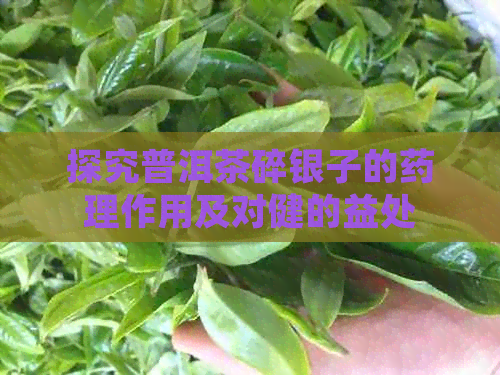 探究普洱茶碎银子的药理作用及对健的益处