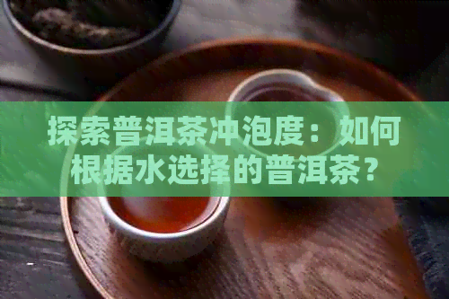 探索普洱茶冲泡度：如何根据水选择的普洱茶？