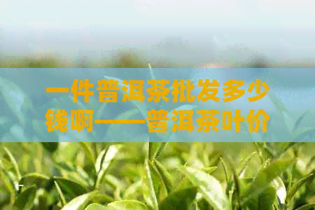 一件普洱茶批发多少钱啊——普洱茶叶价格与公斤数关系解析