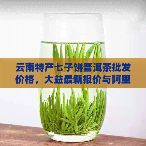 云南特产七子饼普洱茶批发价格，大益最新报价与阿里图片对比