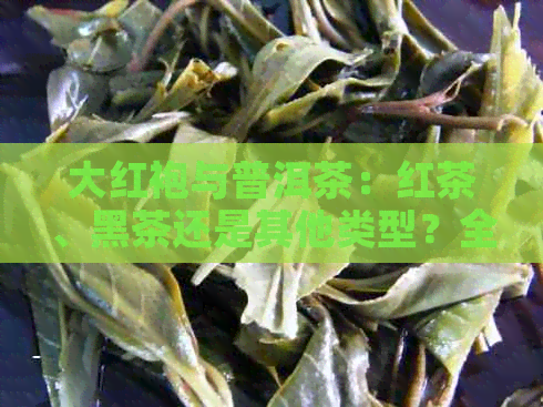 大红袍与普洱茶：红茶、黑茶还是其他类型？全面比较和解析