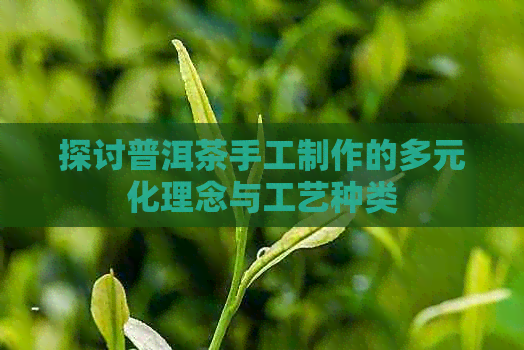 探讨普洱茶手工制作的多元化理念与工艺种类