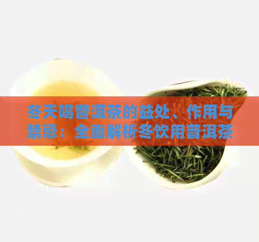 冬天喝普洱茶的益处、作用与禁忌：全面解析冬饮用普洱茶的利弊及注意事项