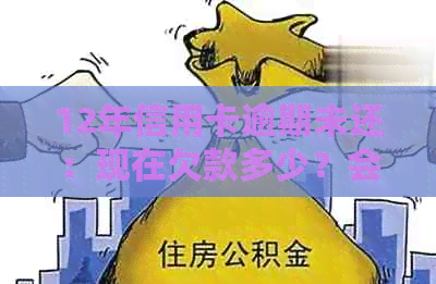 12年信用卡逾期未还：现在欠款多少？会有什么后果？如何解决？是否有记录？