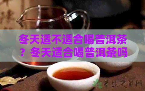 冬天适不适合喝普洱茶？冬天适合喝普洱茶吗？冬天喝普洱茶有什么功效？