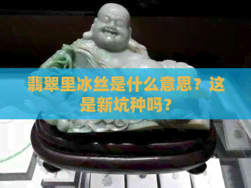 翡翠里冰丝是什么意思？这是新坑种吗？