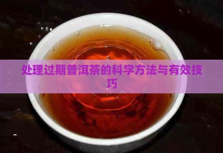 处理过期普洱茶的科学方法与有效技巧