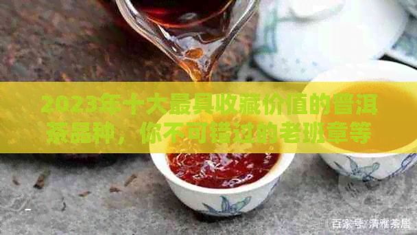 2023年十大更具收藏价值的普洱茶品种，你不可错过的老班章等