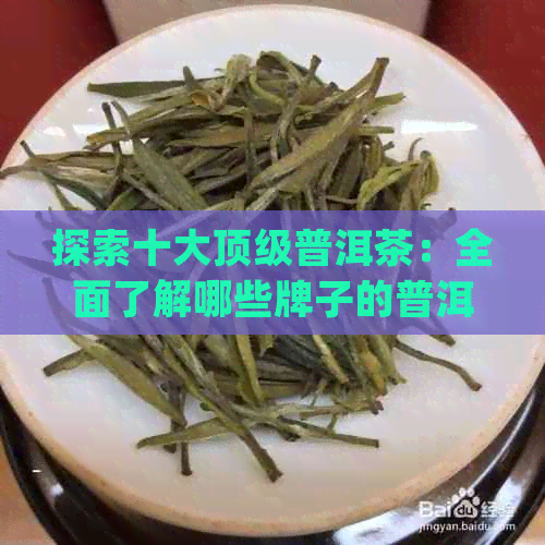 探索十大顶级普洱茶：全面了解哪些牌子的普洱茶更值得收藏与品尝