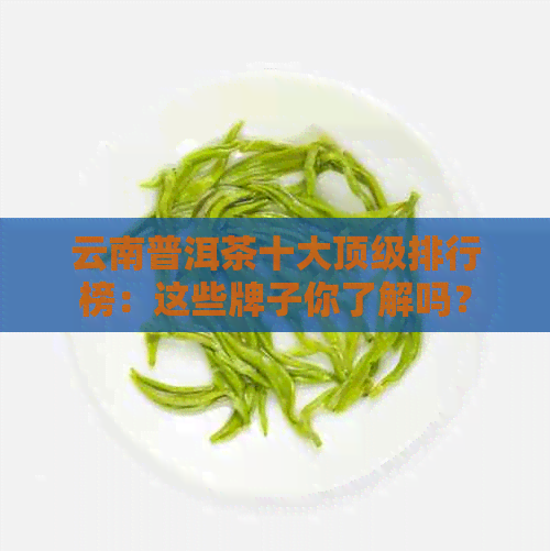 云南普洱茶十大顶级排行榜：这些牌子你了解吗？