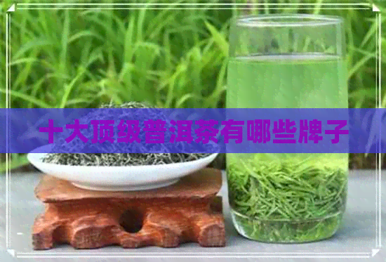 十大顶级普洱茶有哪些牌子