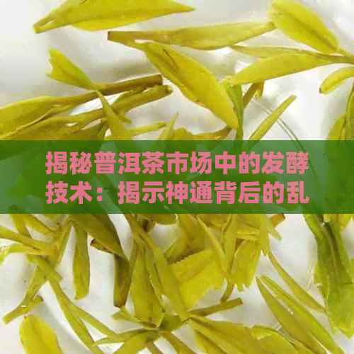 揭秘普洱茶市场中的发酵技术：揭示神通背后的乱象原因