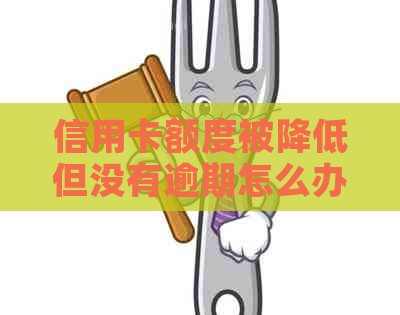 信用卡额度被降低但没有逾期怎么办？新方案全面解决您的问题！