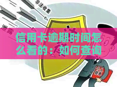 信用卡逾期时间怎么看的：如何查询信用卡逾期具体时间？