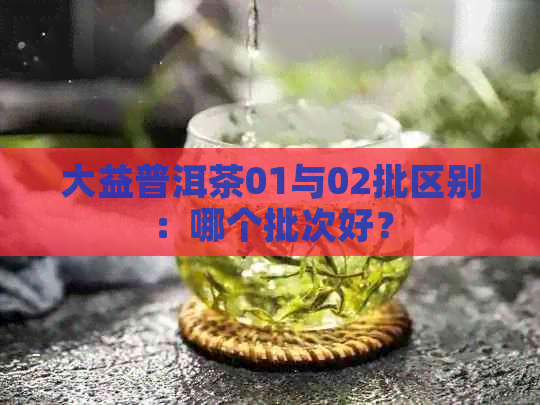 大益普洱茶01与02批区别：哪个批次好？