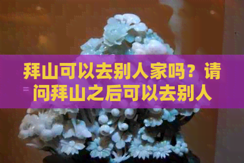 拜山可以去别人家吗？请问拜山之后可以去别人家里吗？拜山可以让外人拜吗？