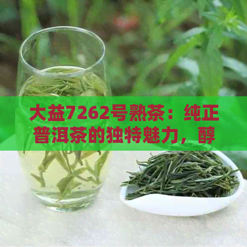 大益7262号熟茶：纯正普洱茶的独特魅力，醇厚口感的品质之选