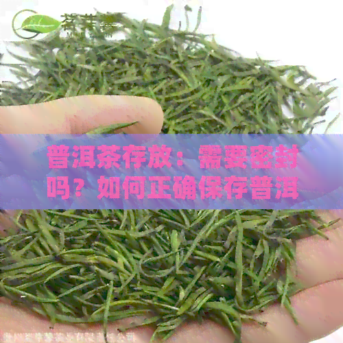 普洱茶存放：需要密封吗？如何正确保存普洱茶以保持其品质？