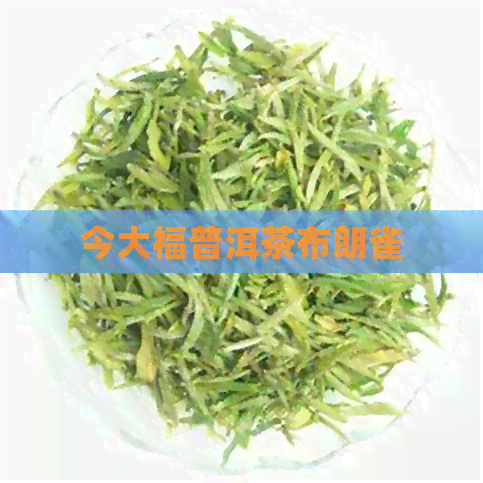 今大福普洱茶布朗雀