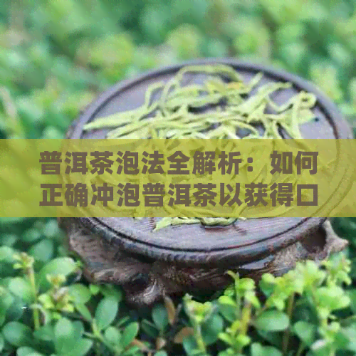 普洱茶泡法全解析：如何正确冲泡普洱茶以获得口感与效果？