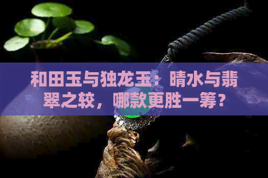 和田玉与独龙玉：晴水与翡翠之较，哪款更胜一筹？