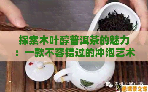 探索木叶醇普洱茶的魅力：一款不容错过的冲泡艺术