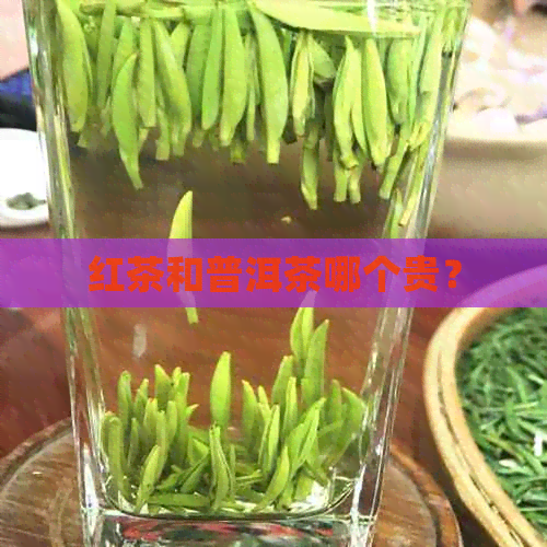 红茶和普洱茶哪个贵？