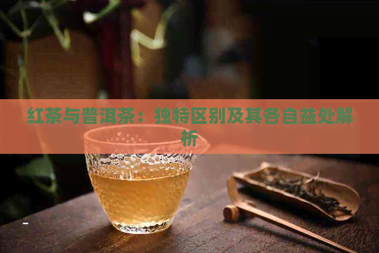 红茶与普洱茶：独特区别及其各自益处解析