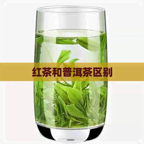 红茶和普洱茶区别