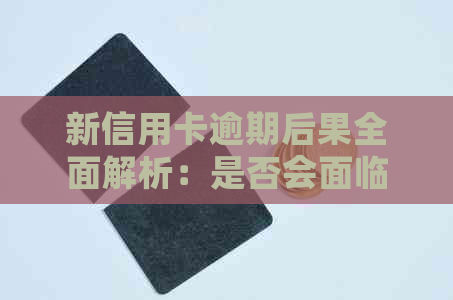 新信用卡逾期后果全面解析：是否会面临刑事责任？如何避免信用受损？