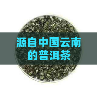 源自中国云南的普洱茶