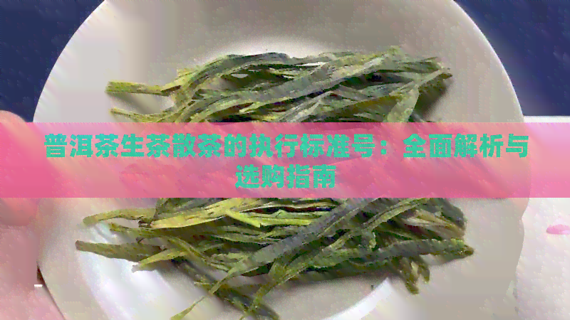 普洱茶生茶散茶的执行标准号：全面解析与选购指南