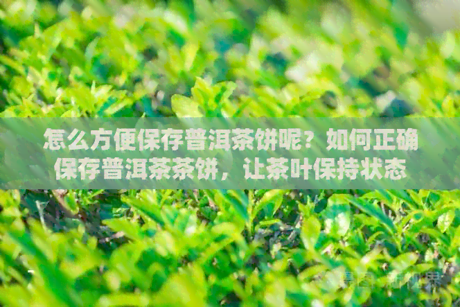 怎么方便保存普洱茶饼呢？如何正确保存普洱茶茶饼，让茶叶保持状态