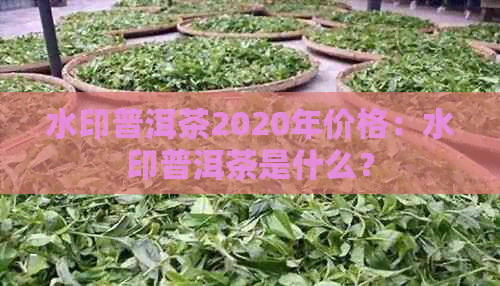 水印普洱茶2020年价格：水印普洱茶是什么？