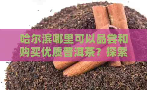 哈尔滨哪里可以品尝和购买优质普洱茶？探索当地的茶艺馆与茶叶商店。