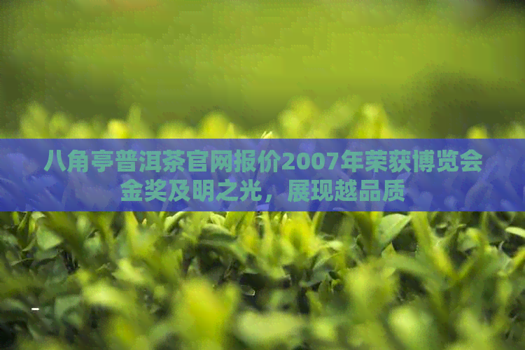 八角亭普洱茶官网报价2007年荣获博览会金奖及明之光，展现越品质