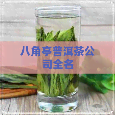 八角亭普洱茶公司全名